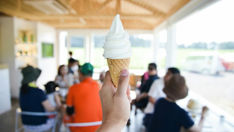 WhatsApp Image 2025-08-28 at 1.46.36 PM